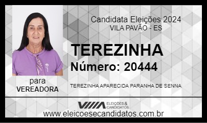 Candidato TEREZINHA 2024 - VILA PAVÃO - Eleições