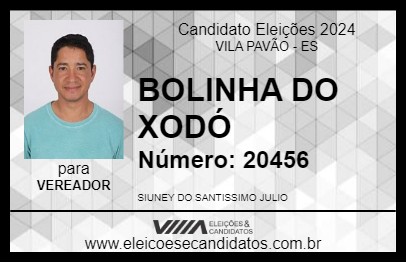 Candidato BOLINHA DO XODÓ 2024 - VILA PAVÃO - Eleições