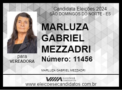 Candidato MARLUZA GABRIEL MEZZADRI 2024 - SÃO DOMINGOS DO NORTE - Eleições