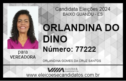 Candidato ORLANDINA DO DINO    2024 - BAIXO GUANDU - Eleições