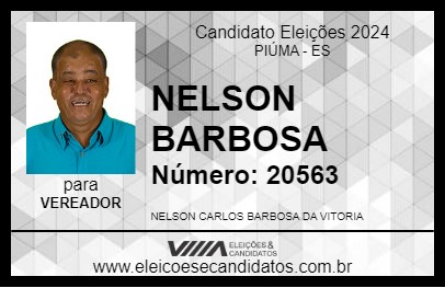 Candidato NELSON BARBOSA 2024 - PIÚMA - Eleições