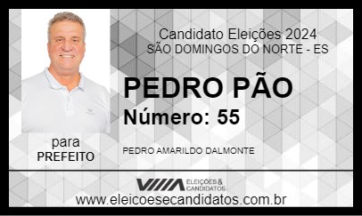 Candidato PEDRO PÃO 2024 - SÃO DOMINGOS DO NORTE - Eleições