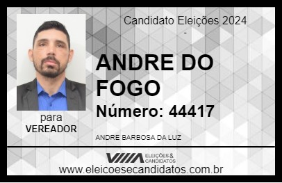 Candidato ANDRE DO FOGO 2024 - ECOPORANGA - Eleições