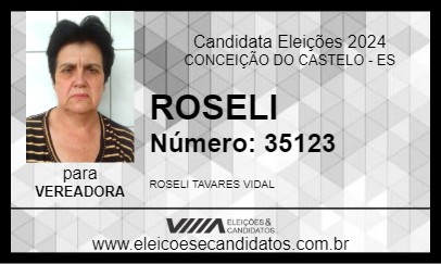 Candidato ROSELI 2024 - CONCEIÇÃO DO CASTELO - Eleições