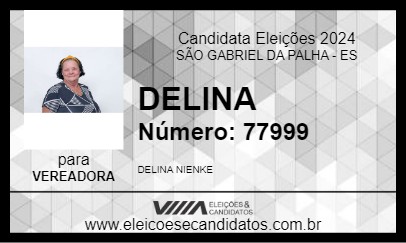 Candidato DELINA 2024 - SÃO GABRIEL DA PALHA - Eleições