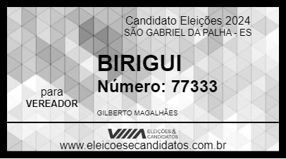 Candidato BIRIGUI 2024 - SÃO GABRIEL DA PALHA - Eleições