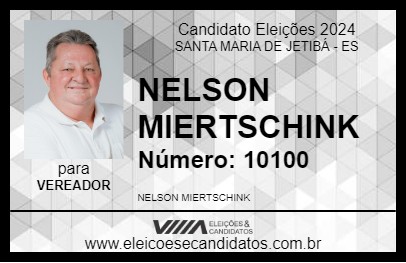 Candidato NELSON MIERTSCHINK 2024 - SANTA MARIA DE JETIBÁ - Eleições