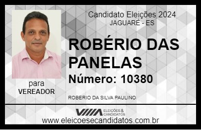 Candidato ROBÉRIO DAS PANELAS  2024 - JAGUARÉ - Eleições