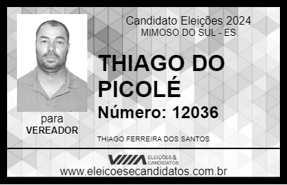 Candidato THIAGO DO PICOLÉ 2024 - MIMOSO DO SUL - Eleições