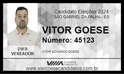 Candidato VITOR GOESE 2024 - SÃO GABRIEL DA PALHA - Eleições