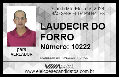 Candidato LAUDECIR DO FORRO 2024 - SÃO GABRIEL DA PALHA - Eleições