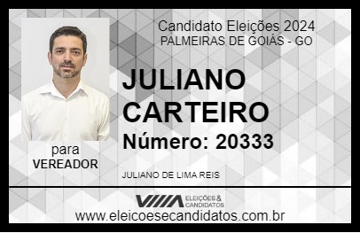 Candidato JULIANO CARTEIRO 2024 - PALMEIRAS DE GOIÁS - Eleições