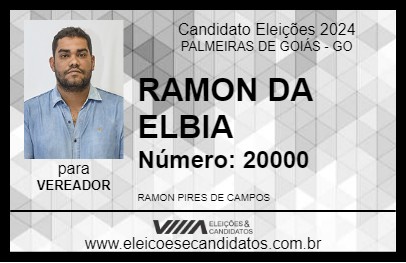 Candidato RAMON DA ELBIA 2024 - PALMEIRAS DE GOIÁS - Eleições