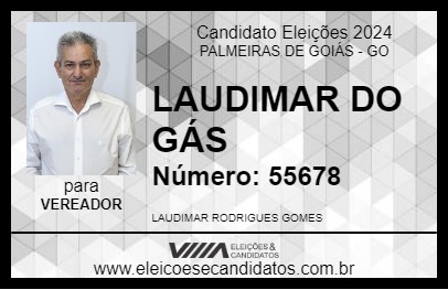 Candidato LAUDIMAR DO GÁS 2024 - PALMEIRAS DE GOIÁS - Eleições