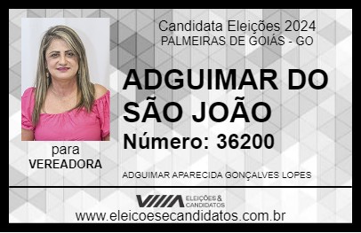 Candidato ADGUIMAR DO SÃO JOÃO 2024 - PALMEIRAS DE GOIÁS - Eleições