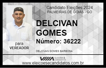 Candidato DELCIVAN GOMES 2024 - PALMEIRAS DE GOIÁS - Eleições