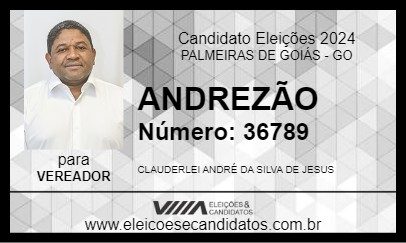 Candidato ANDREZÃO 2024 - PALMEIRAS DE GOIÁS - Eleições