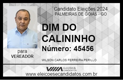 Candidato DIM DO CALININHO 2024 - PALMEIRAS DE GOIÁS - Eleições