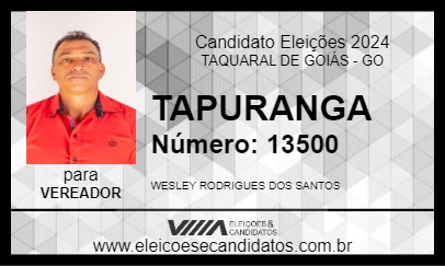 Candidato TAPURANGA 2024 - TAQUARAL DE GOIÁS - Eleições