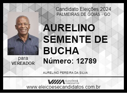 Candidato AURELINO SEMENTE DE BUCHA 2024 - PALMEIRAS DE GOIÁS - Eleições