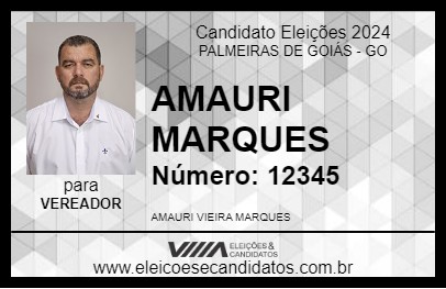 Candidato AMAURI MARQUES 2024 - PALMEIRAS DE GOIÁS - Eleições