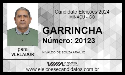 Candidato GARRINCHA 2024 - MINAÇU - Eleições