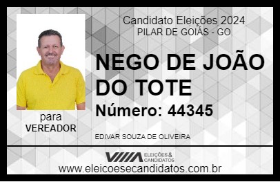 Candidato NEGO DE JOÃO DO TOTE 2024 - PILAR DE GOIÁS - Eleições