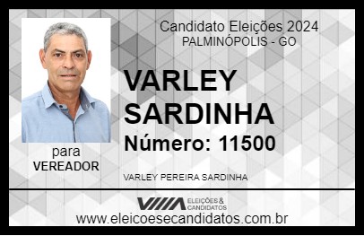 Candidato VARLEY SARDINHA 2024 - PALMINÓPOLIS - Eleições