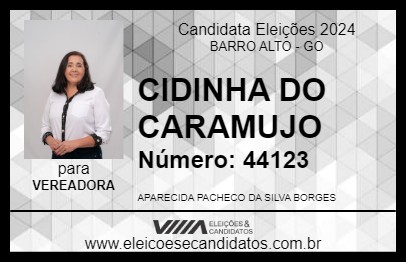 Candidato CIDINHA DO CARAMUJO 2024 - BARRO ALTO - Eleições