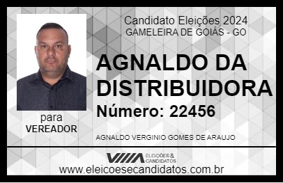 Candidato AGNALDO DA DISTRIBUIDORA 2024 - GAMELEIRA DE GOIÁS - Eleições