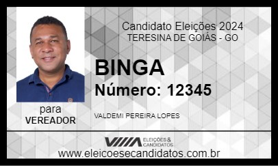 Candidato BINGA 2024 - TERESINA DE GOIÁS - Eleições