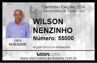 Candidato WILSON NENZINHO  2024 - CACHOEIRA DE GOIÁS - Eleições