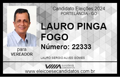 Candidato LAURO PINGA FOGO 2024 - PORTELÂNDIA - Eleições