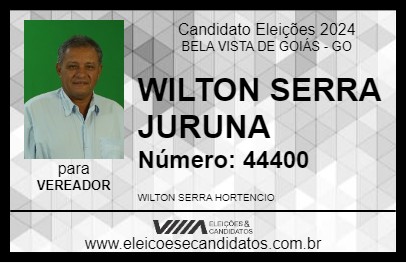 Candidato WILTON SERRA JURUNA 2024 - BELA VISTA DE GOIÁS - Eleições