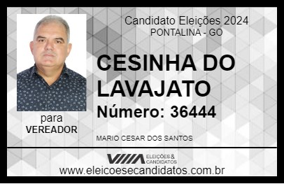 Candidato CESINHA DO LAVAJATO 2024 - PONTALINA - Eleições