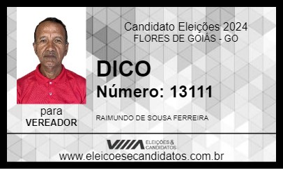 Candidato DICO 2024 - FLORES DE GOIÁS - Eleições