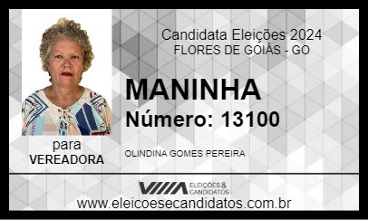 Candidato MANINHA 2024 - FLORES DE GOIÁS - Eleições