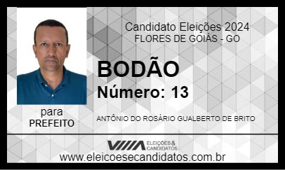 Candidato BODÃO 2024 - FLORES DE GOIÁS - Eleições