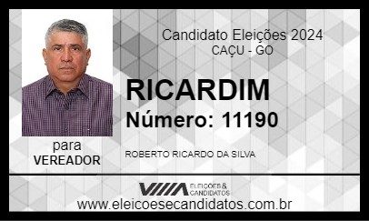 Candidato RICARDIM 2024 - CAÇU - Eleições