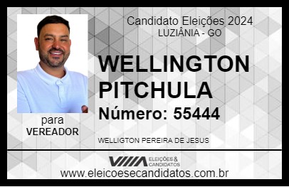 Candidato WELLINGTON PITCHULA 2024 - LUZIÂNIA - Eleições