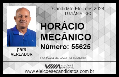 Candidato HORÁCIO MECÂNICO 2024 - LUZIÂNIA - Eleições