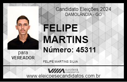 Candidato FELIPE MARTINS 2024 - DAMOLÂNDIA - Eleições