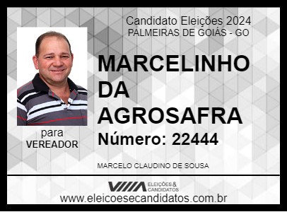 Candidato MARCELINHO DA AGROSAFRA 2024 - PALMEIRAS DE GOIÁS - Eleições