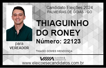 Candidato THIAGUINHO DO RONEY 2024 - PALMEIRAS DE GOIÁS - Eleições