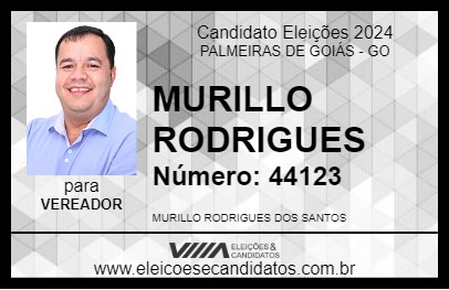 Candidato MURILLO RODRIGUES 2024 - PALMEIRAS DE GOIÁS - Eleições