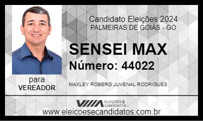 Candidato SENSEI MAX 2024 - PALMEIRAS DE GOIÁS - Eleições