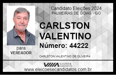 Candidato CARLSTON VALENTINO 2024 - PALMEIRAS DE GOIÁS - Eleições