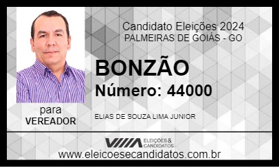 Candidato BONZÃO 2024 - PALMEIRAS DE GOIÁS - Eleições