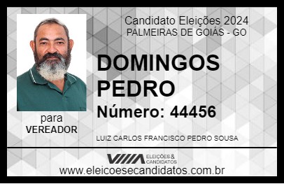 Candidato DOMINGOS PEDRO 2024 - PALMEIRAS DE GOIÁS - Eleições