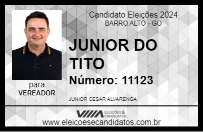 Candidato JUNIOR DO TITO 2024 - BARRO ALTO - Eleições